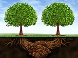 Devon Completes Sale of Barnett Assets