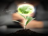 Talos Details ESG Initiatives; Looks to Cut Emissions 30% by 2025