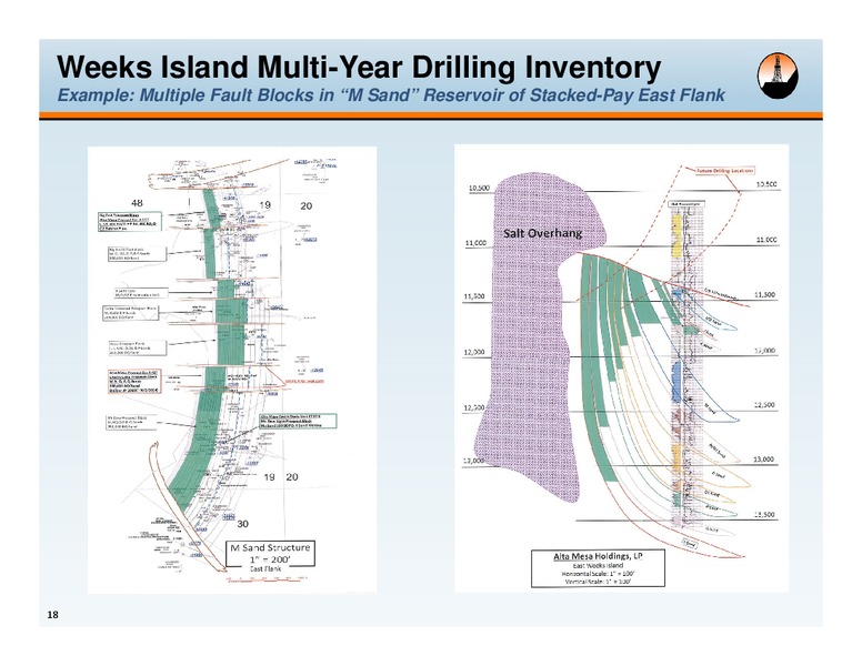 IPAA Oil And Gas Investment Symposium New York – Alta Mesa Holdings, Lp – slide 17