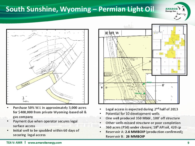 CORPORATE PRESENTATIOIN – Amarok Energy Inc. – slide 8