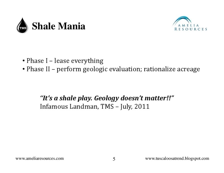 2ND TMS INFOCAST – Amelia Resources Llc – slide 5