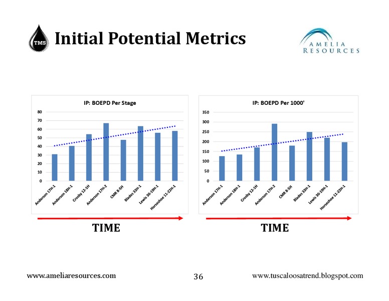 2ND TMS INFOCAST – Amelia Resources Llc – slide 36