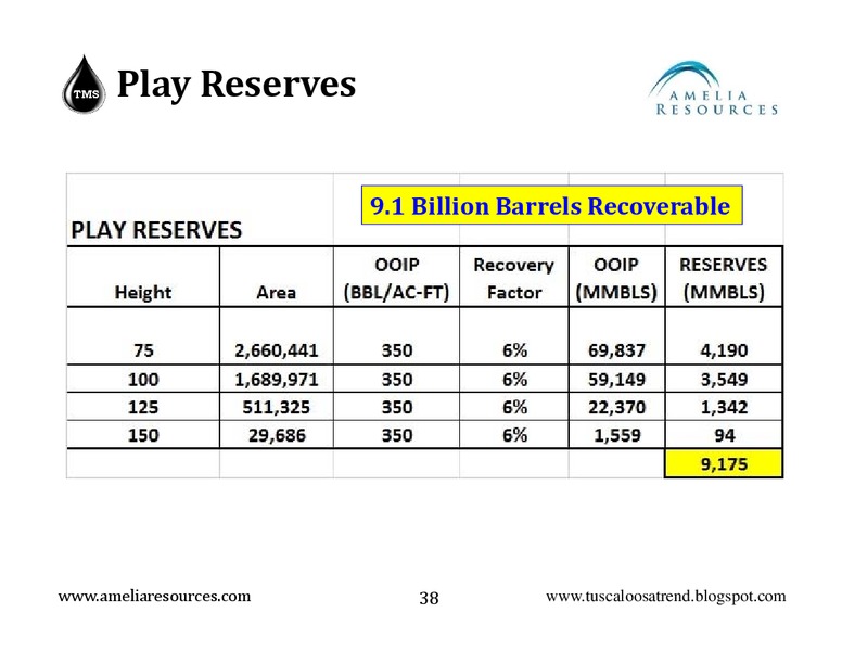 2ND TMS INFOCAST – Amelia Resources Llc – slide 38