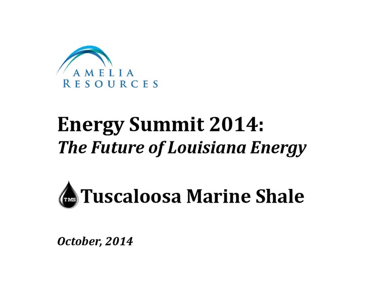ENERGY SUMMIT 2014 – Amelia Resources Llc – slide 1