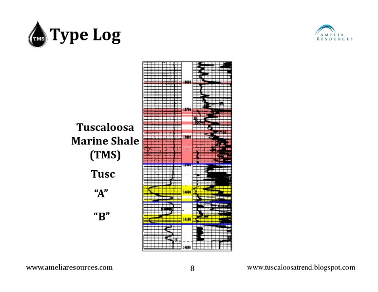 ENERGY SUMMIT 2014 – Amelia Resources Llc – slide 8