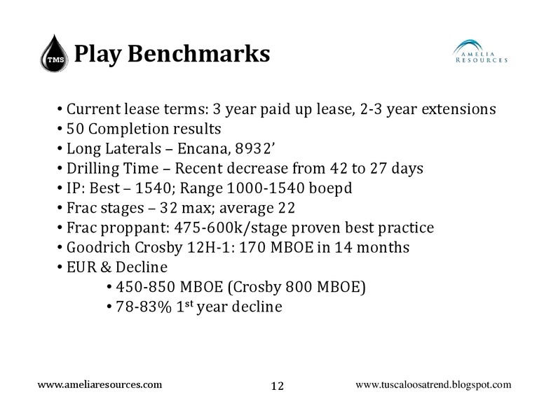 ENERGY SUMMIT 2014 – Amelia Resources Llc – slide 12
