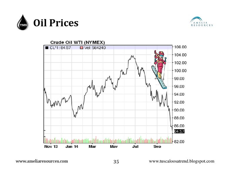 ENERGY SUMMIT 2014 – Amelia Resources Llc – slide 35