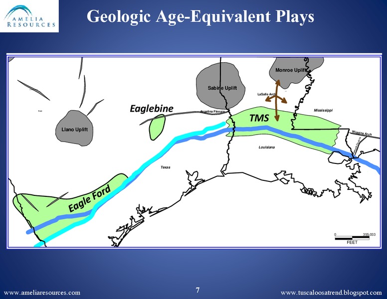 SPE Business Development Meeting – Amelia Resources Llc – slide 6