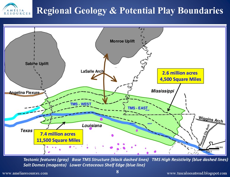 SPE Business Development Meeting – Amelia Resources Llc – slide 7