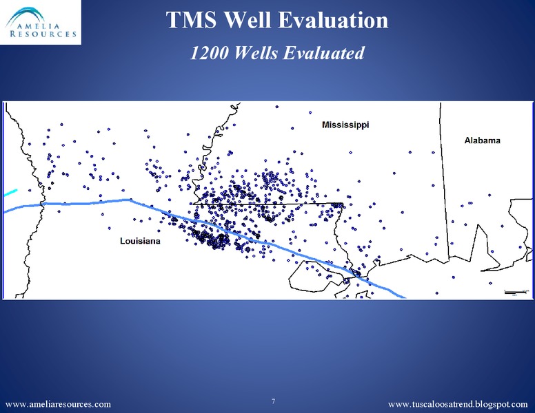 SPE Business Development Meeting – Amelia Resources Llc – slide 12