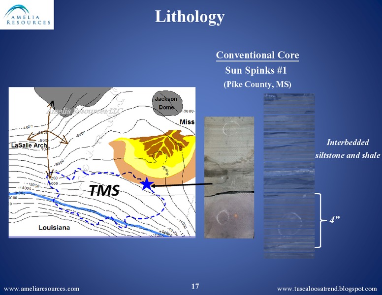 SPE Business Development Meeting – Amelia Resources Llc – slide 16