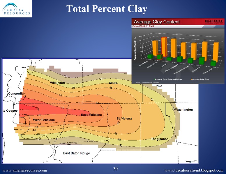 SPE Business Development Meeting – Amelia Resources Llc – slide 29