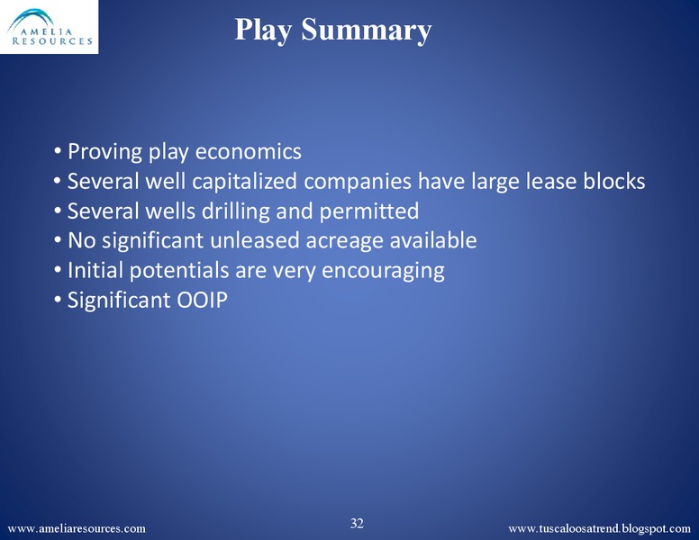 SPE Business Development Meeting – Amelia Resources Llc – slide 31