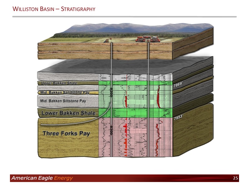 Investor Presentation – American Eagle Energy Corp – slide 22