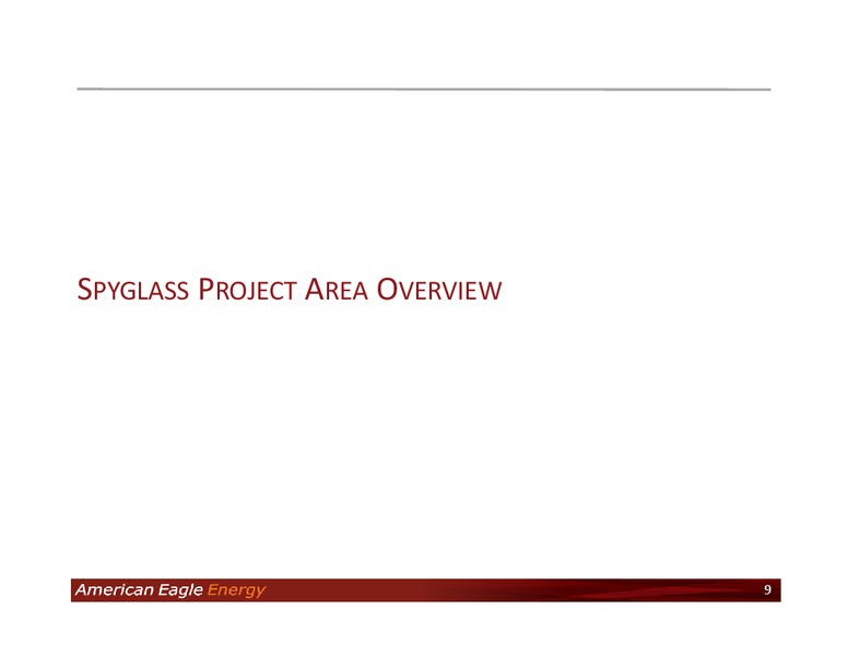 Investor Presentation – American Eagle Energy Corp – slide 8