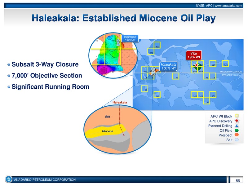 Investor Conference – Anadarko Petroleum Corp – slide 85