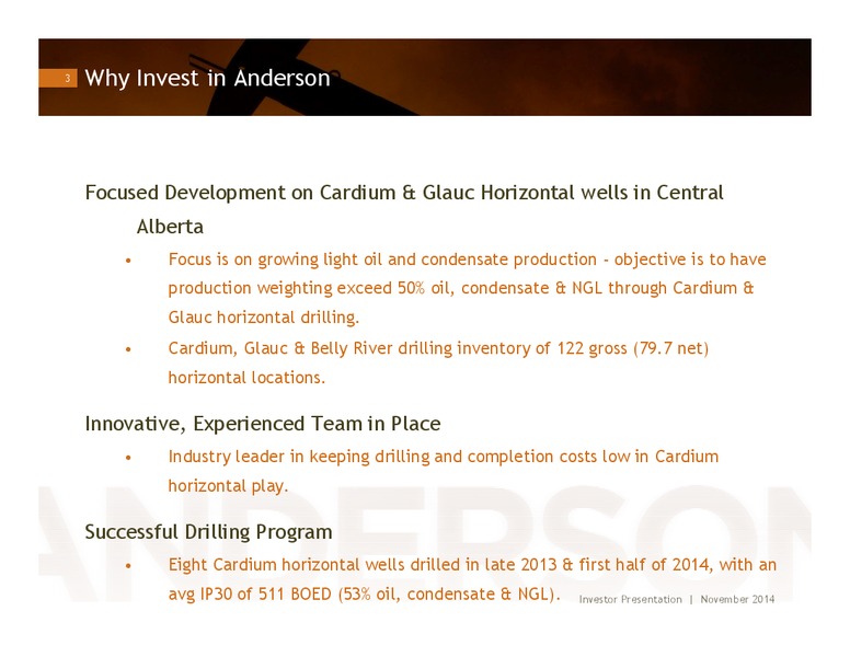 PRESENTATION – Anderson Energy Ltd – slide 2