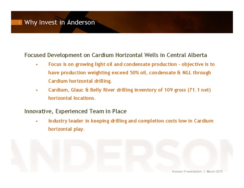 INVESTOR PRESENTATION – Anderson Energy Ltd – slide 2