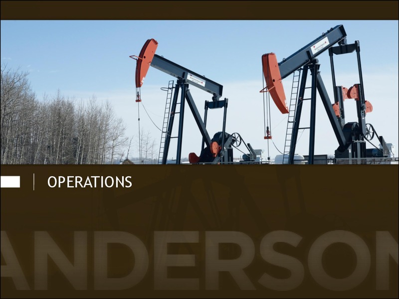 Investor Presentation Repositioned for Oil Production Growth – Anderson Energy Ltd – slide 12