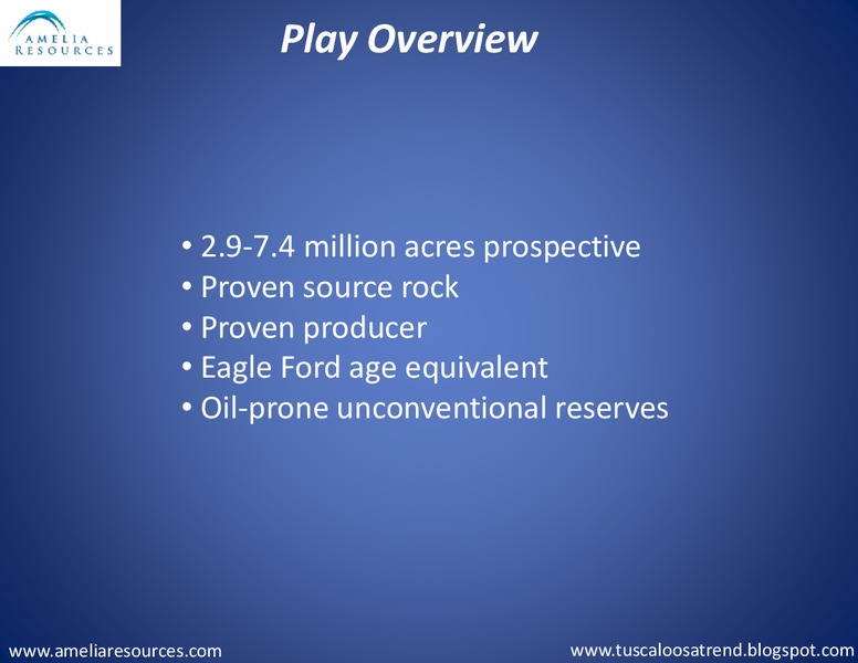 3rd Annual Developing Unconventional Oil Conference and Exhibit – Amelia Resources Llc – slide 2
