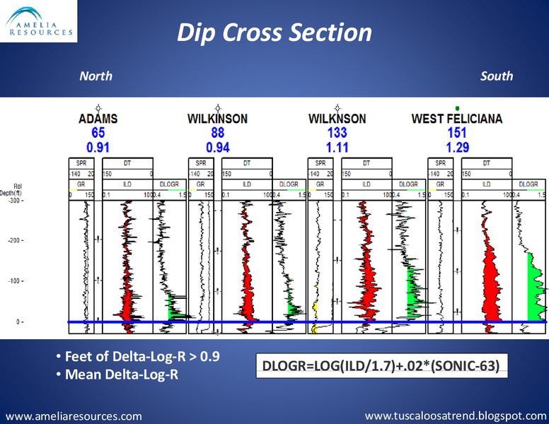 3rd Annual Developing Unconventional Oil Conference and Exhibit – Amelia Resources Llc – slide 12