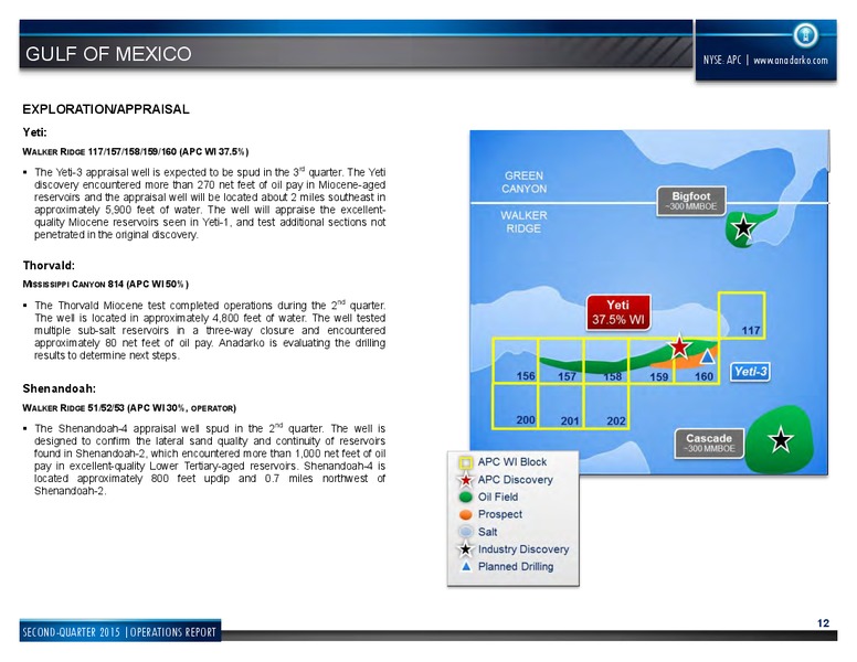Q2 2015 RESULTS – Anadarko Petroleum Corp – slide 11