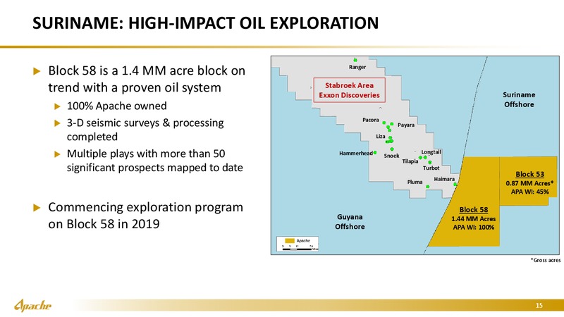 Credit Suisse Energy Summit – Apache Corp – slide 14
