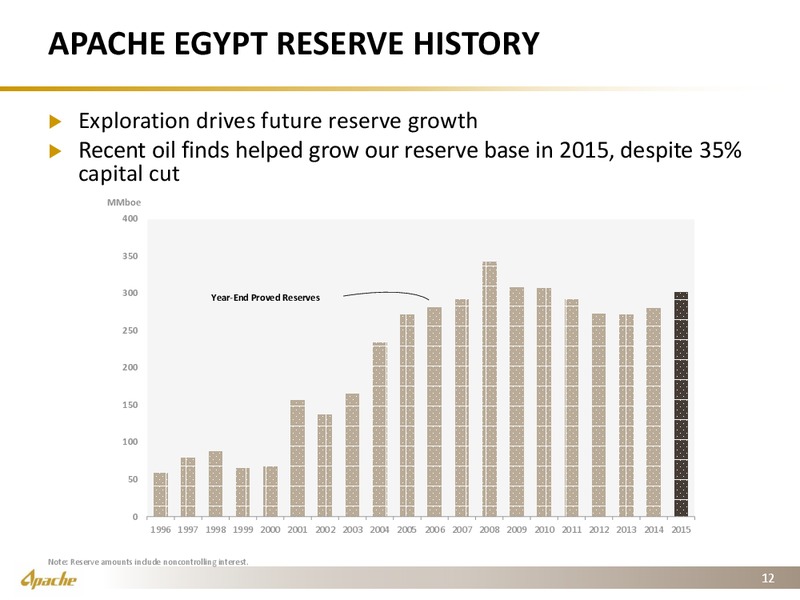 JP Morgan 13th Annual Middle East Oil and Gas Tour – Apache Corp – slide 11