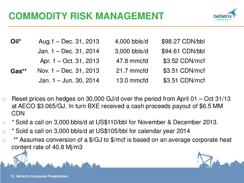 ENERCOM OIL & GAS CONFERENCE – Bellatrix Exploration Ltd. – slide 12