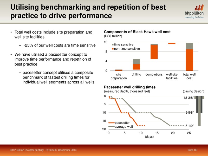 INVESTOR BREIFING 2013 – BHP Billiton Limited – slide 77