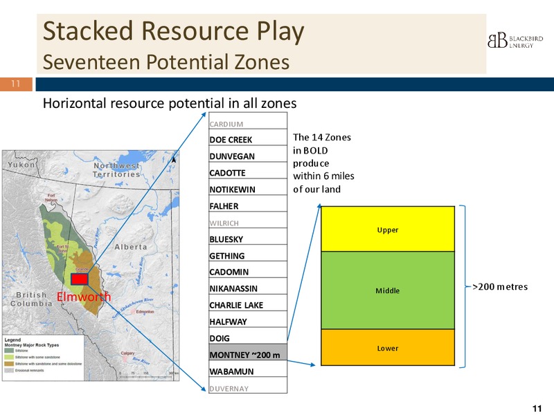 INVESTOR PPRESENTATION – Blackbird Energy Inc. – slide 9