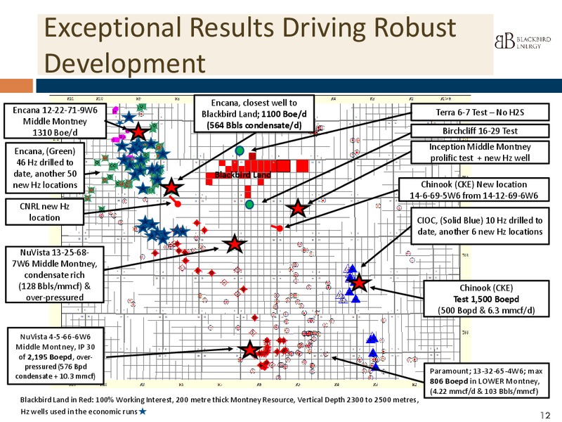INVESTOR PPRESENTATION – Blackbird Energy Inc. – slide 10