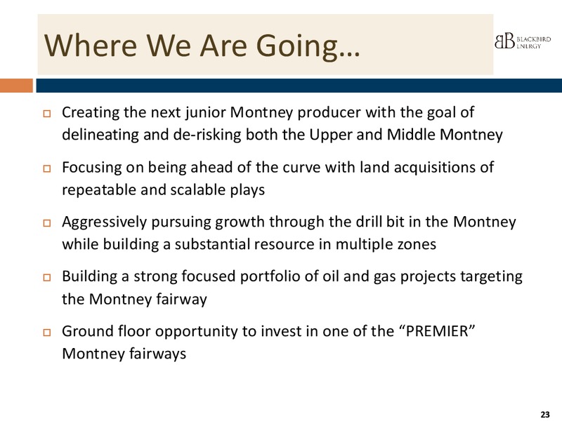 INVESTOR PPRESENTATION – Blackbird Energy Inc. – slide 21