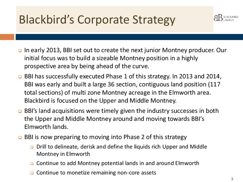INVESTOR PPRESENTATION – Blackbird Energy Inc. – slide 2