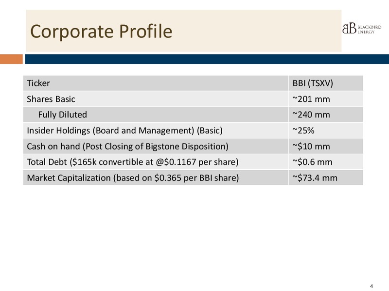 INVESTOR PPRESENTATION – Blackbird Energy Inc. – slide 3