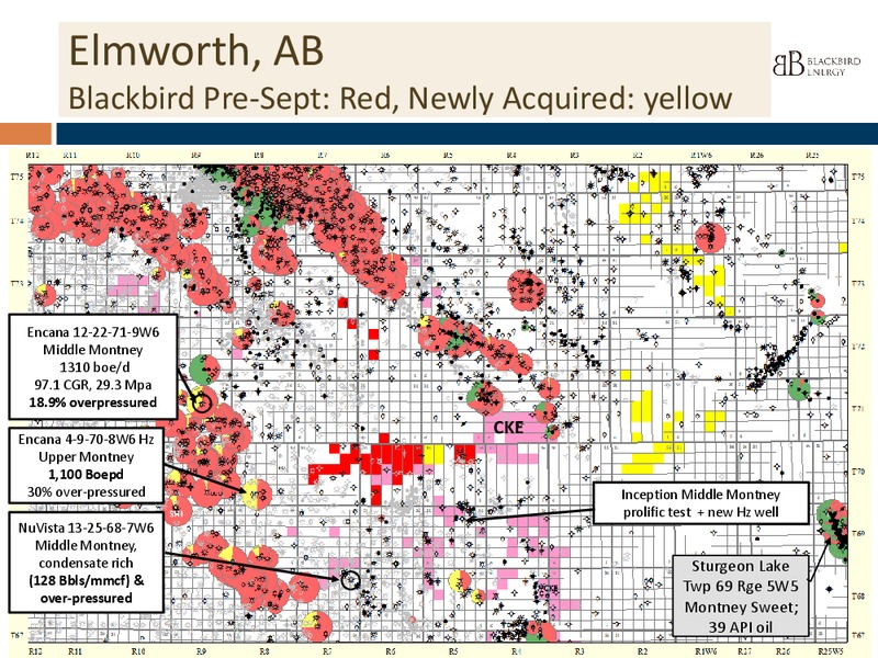 INVESTOR PPRESENTATION – Blackbird Energy Inc. – slide 7