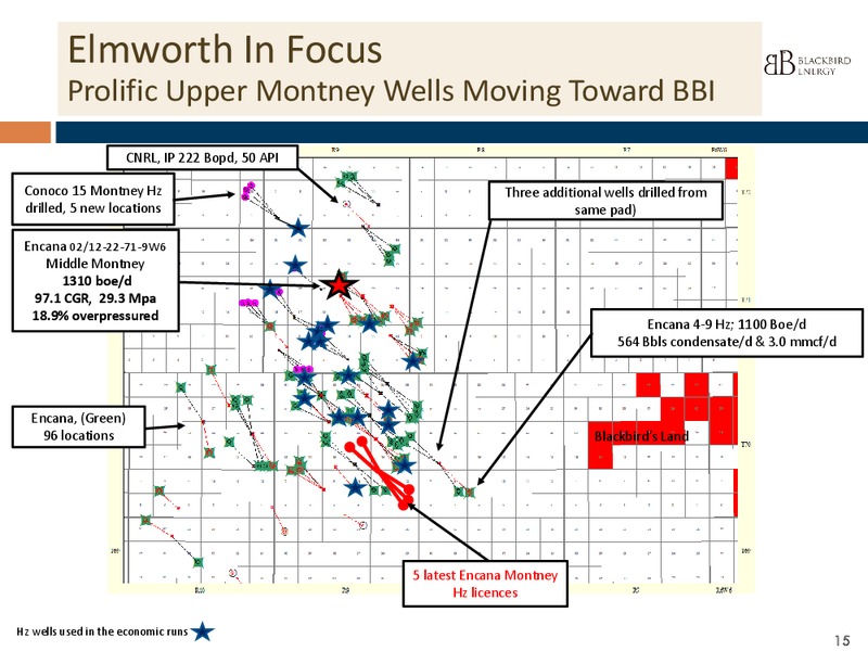 INVESTOR PPRESENTATION – Blackbird Energy Inc. – slide 13