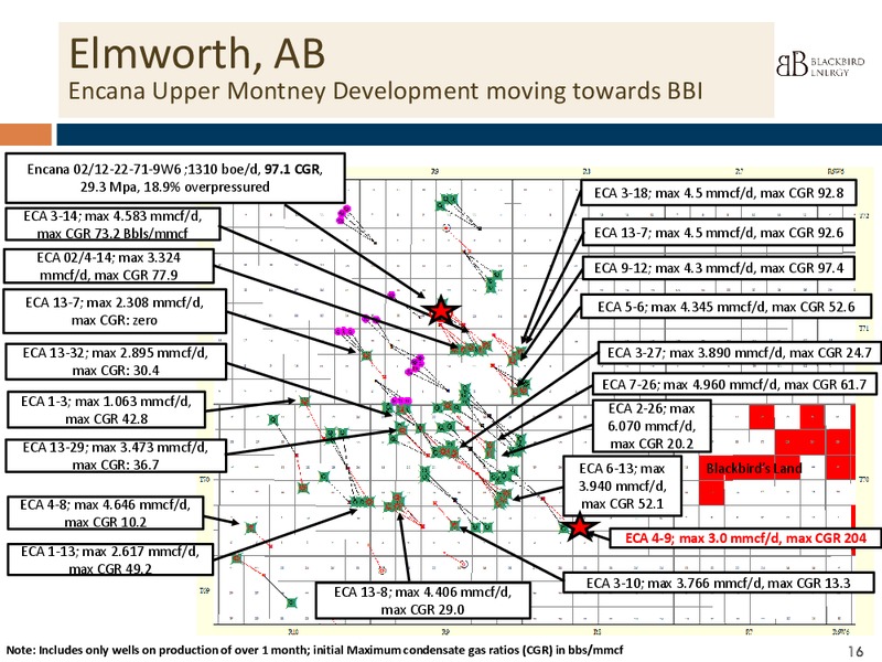INVESTOR PPRESENTATION – Blackbird Energy Inc. – slide 14