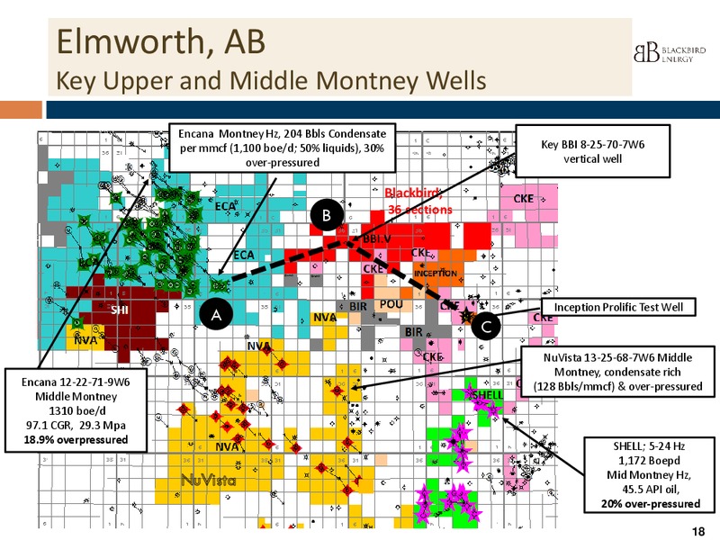 INVESTOR PPRESENTATION – Blackbird Energy Inc. – slide 16