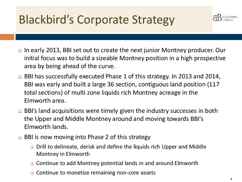 INSTITUTIONAL PRESENTATION Q4 2014 – Blackbird Energy Inc. – slide 2