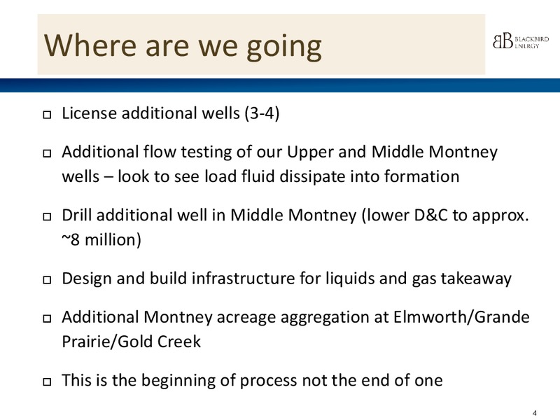 Corporate Presentation – Blackbird Energy Inc. – slide 3