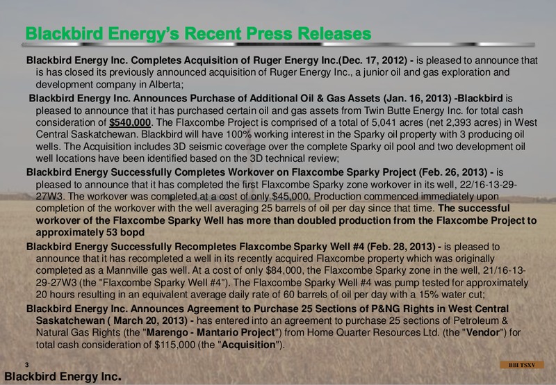 Investor Presentation – Blackbird Energy Inc. – slide 3