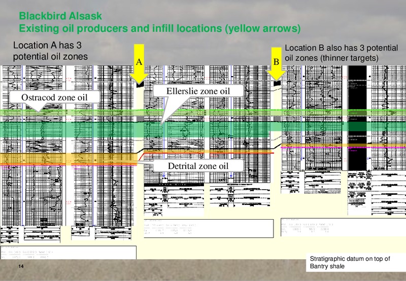 Investor Presentation – Blackbird Energy Inc. – slide 14