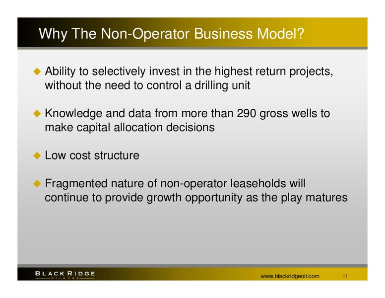 Undiscovered Equities Conference – Black Ridge Oil & Gas, Inc. – slide 10