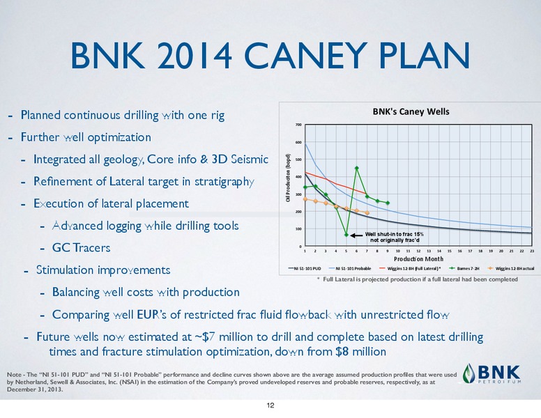 INVESTOR PRESENTATION – BNK Petroleum Inc. – slide 9