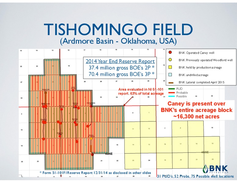 JUNE 2015 CORPORATE PRESENTATION – BNK Petroleum Inc. – slide 8