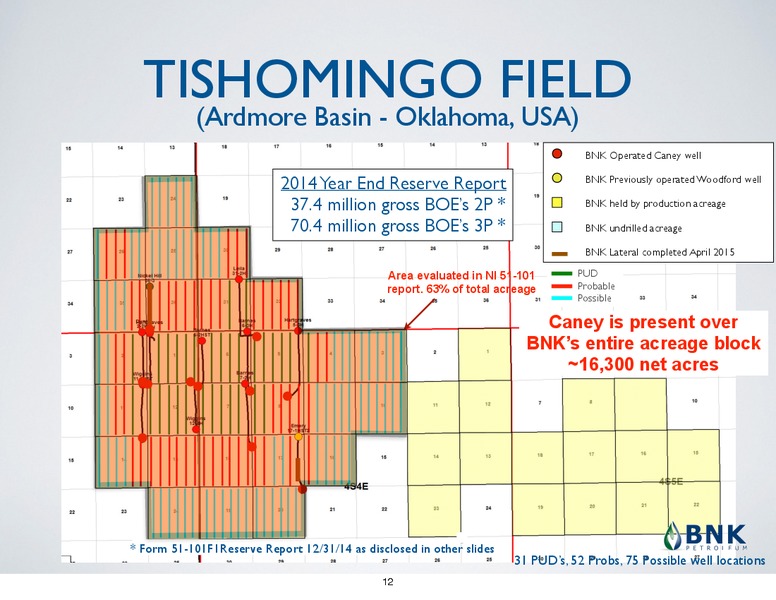 August 2015 Corporate Presentation – BNK Petroleum Inc. – slide 8