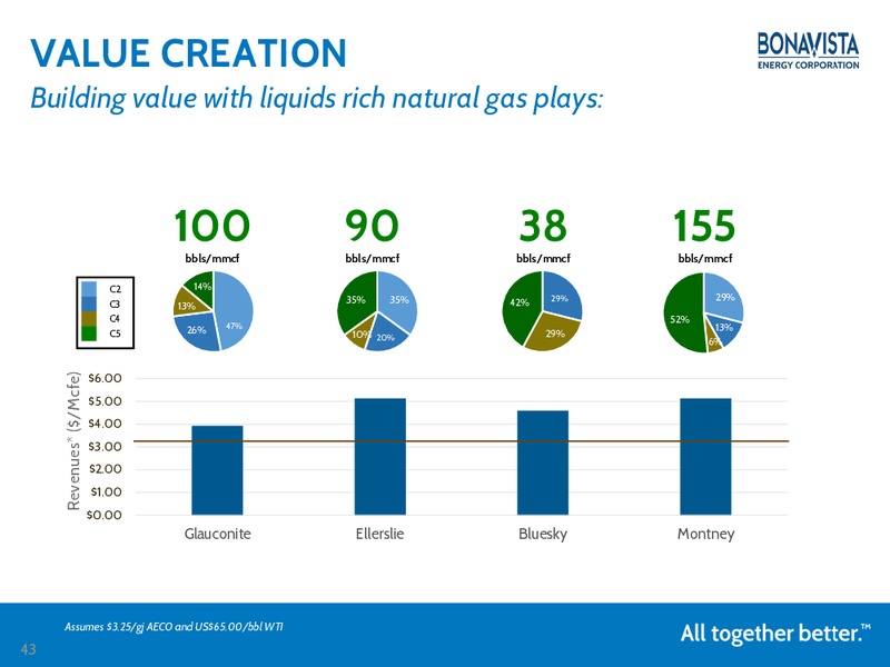 Investor Presentation – Bonavista Energy Corp – slide 42