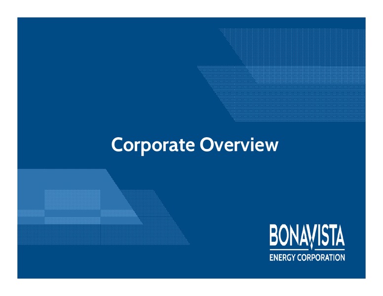 Investor Presentation – Bonavista Energy Corp – slide 2