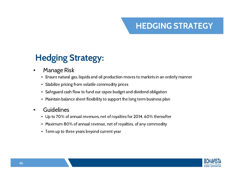 Investor Presentation – Bonavista Energy Corp – slide 45